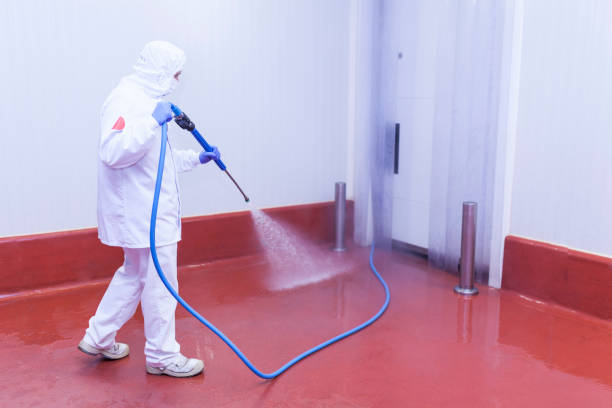 Best Roof Washing  in Lena, IL